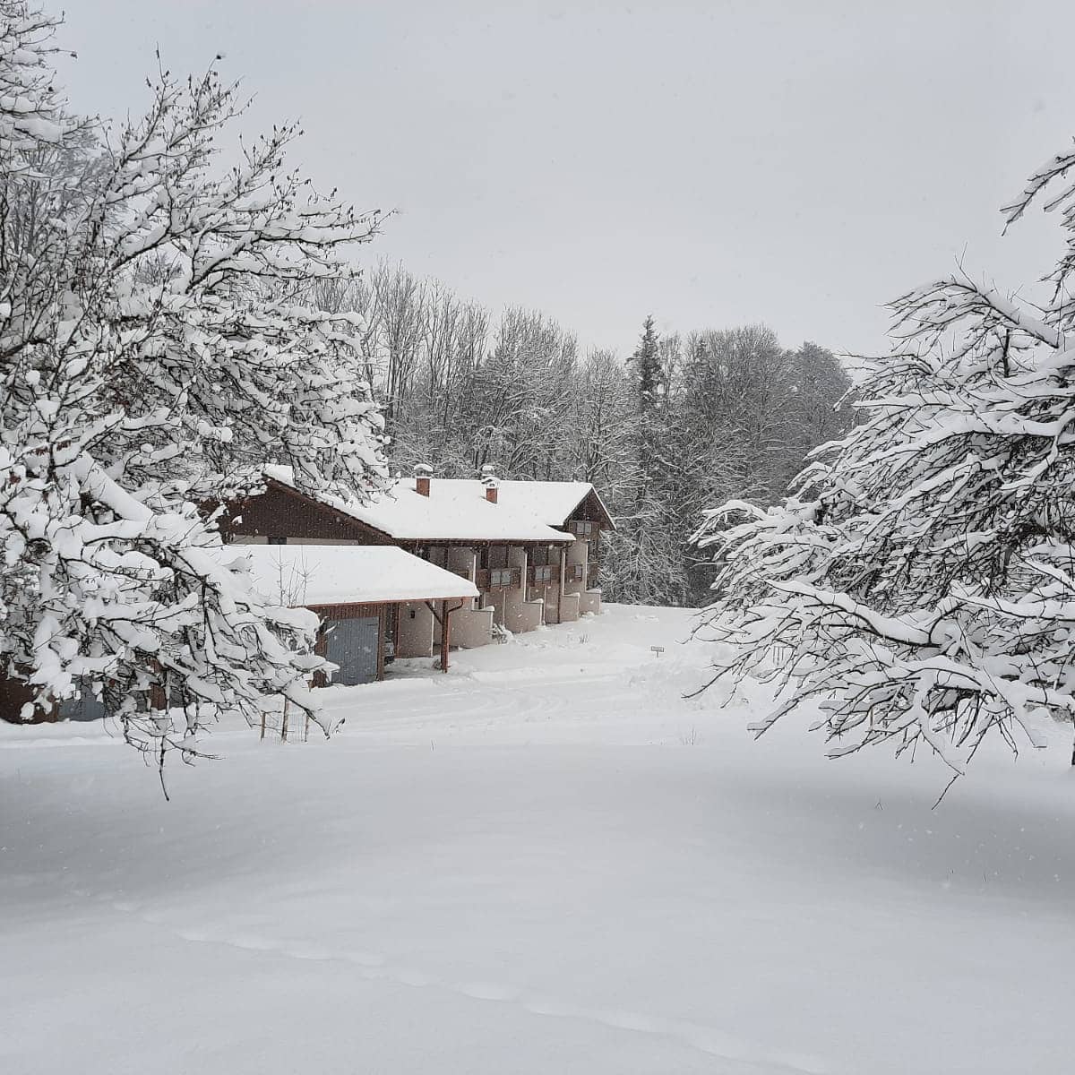 Das Luegstein im Wintermantel
#schnee#allesistweiß